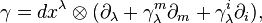 \gamma=dx^\lambda\otimes (\partial_\lambda +\gamma_\lambda^m\partial_m + \gamma_\lambda^i\partial_i), 