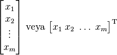  \begin{bmatrix} x_1 \\ x_2 \\ \vdots \\ x_m \end{bmatrix} \text{ veya } \begin{bmatrix} x_1 \; x_2 \; \dots \; x_m \end{bmatrix}^{\rm T} 