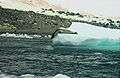 Antarctic, Leopard Seal (js) 33.jpg