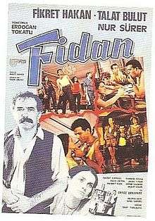 Fidan film afişi