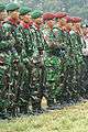 Indonesia Army soldiers.jpg