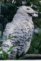 Snowyowl04.jpg