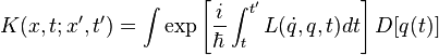 K(x,t;x',t') = \int \exp \left[\frac{i}{\hbar} \int_t^{t'} L(\dot{q},q,t) dt\right] D[q(t)]